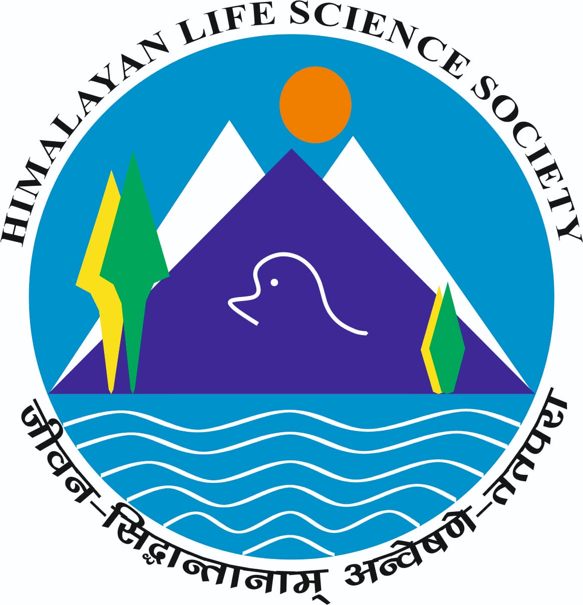 HLSS Logo