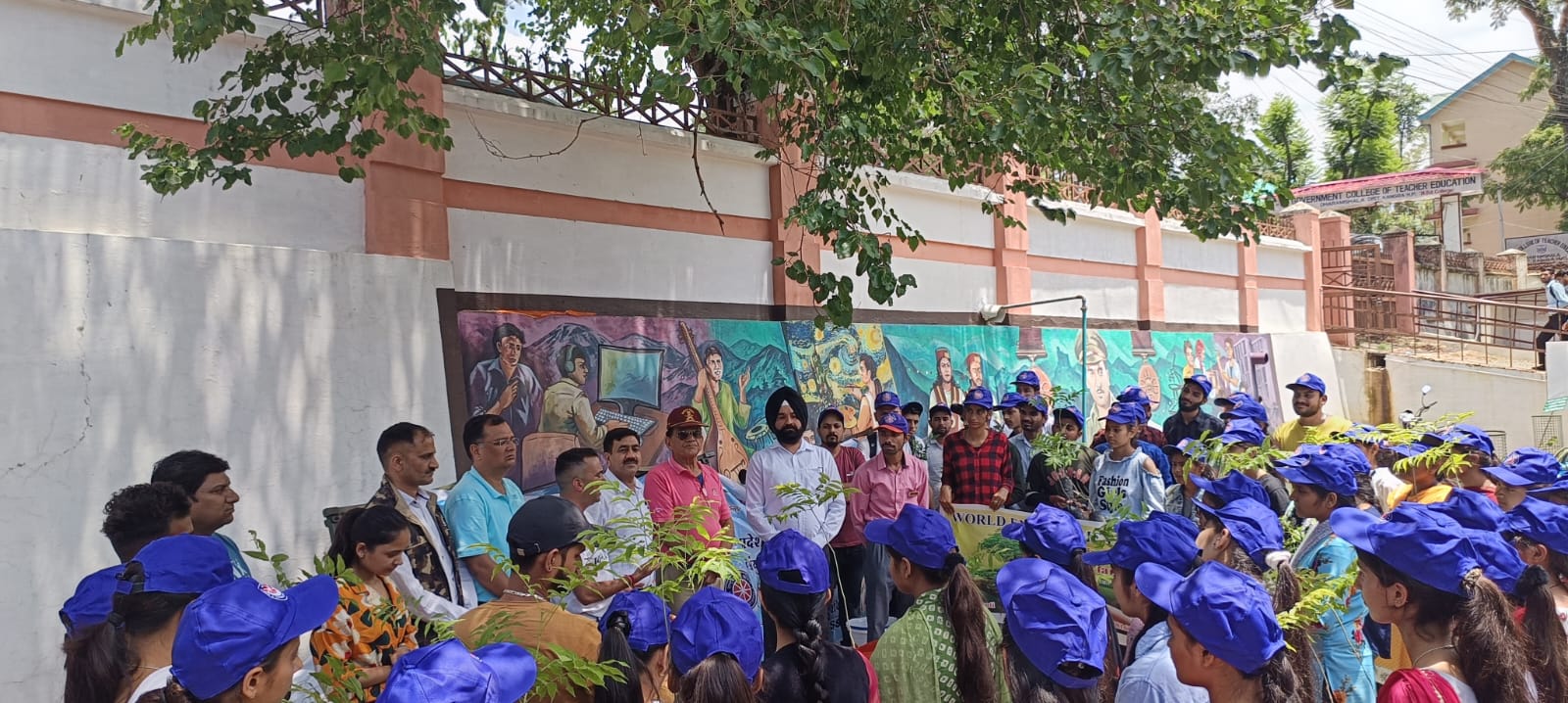 Tree Plantation Campaign