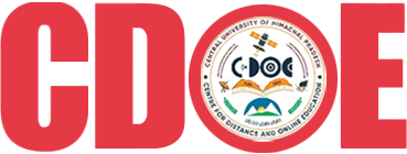 University Flag